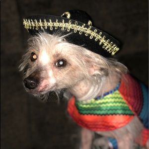 Meet your Posher, Sherry